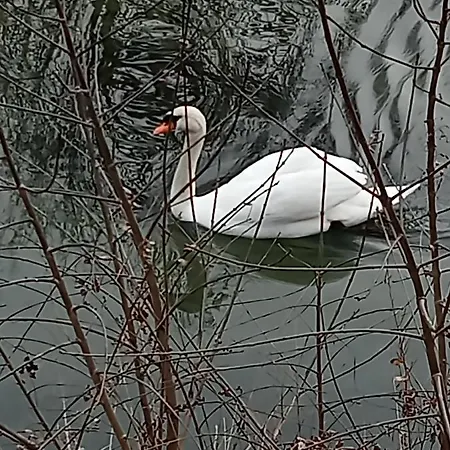 De L'hippodrome كانيو سور مير